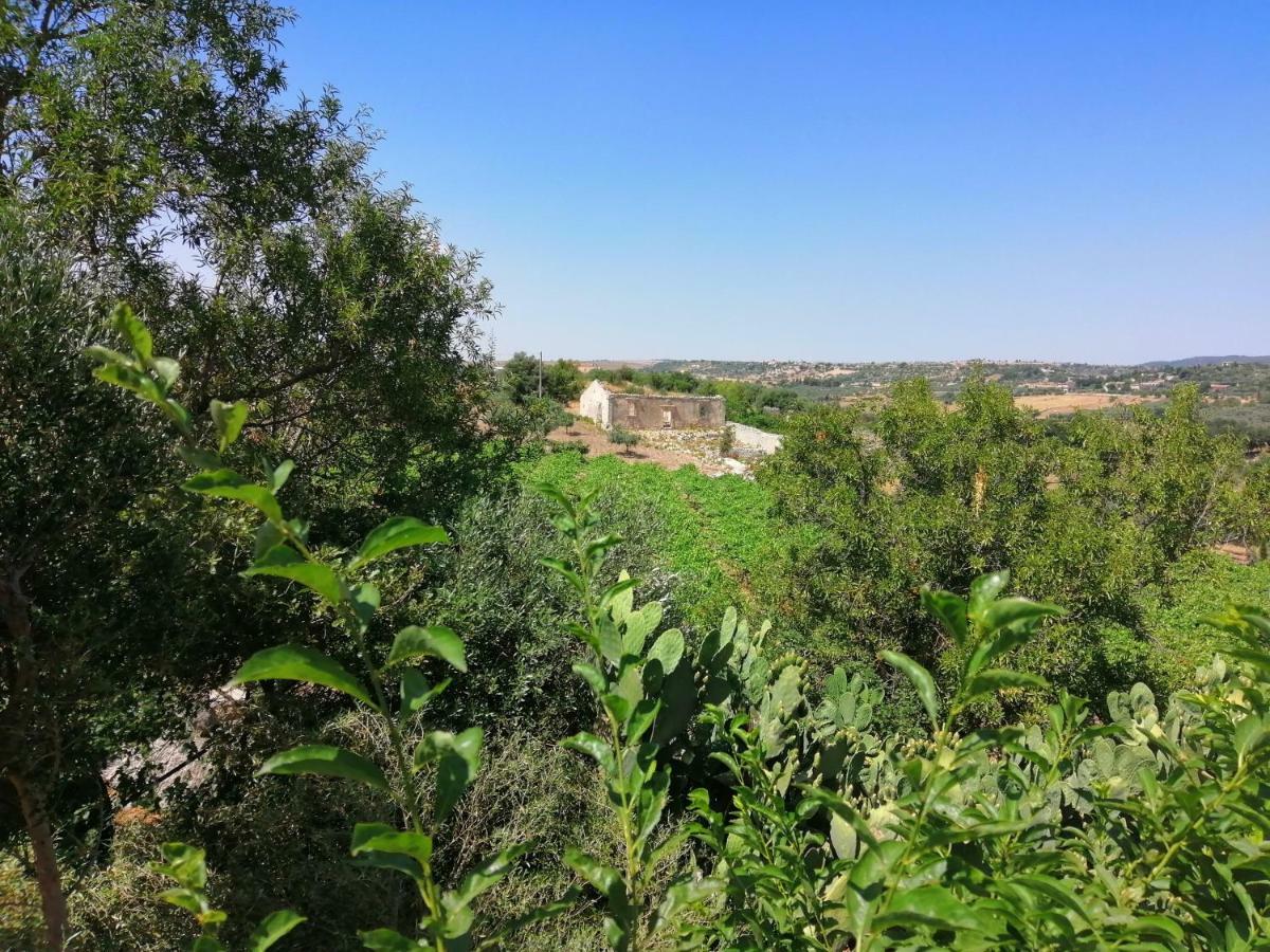Poggio Del Gallo キアラモンテ・グルフィ エクステリア 写真